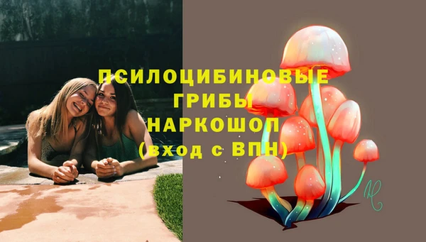 бутират Алексин